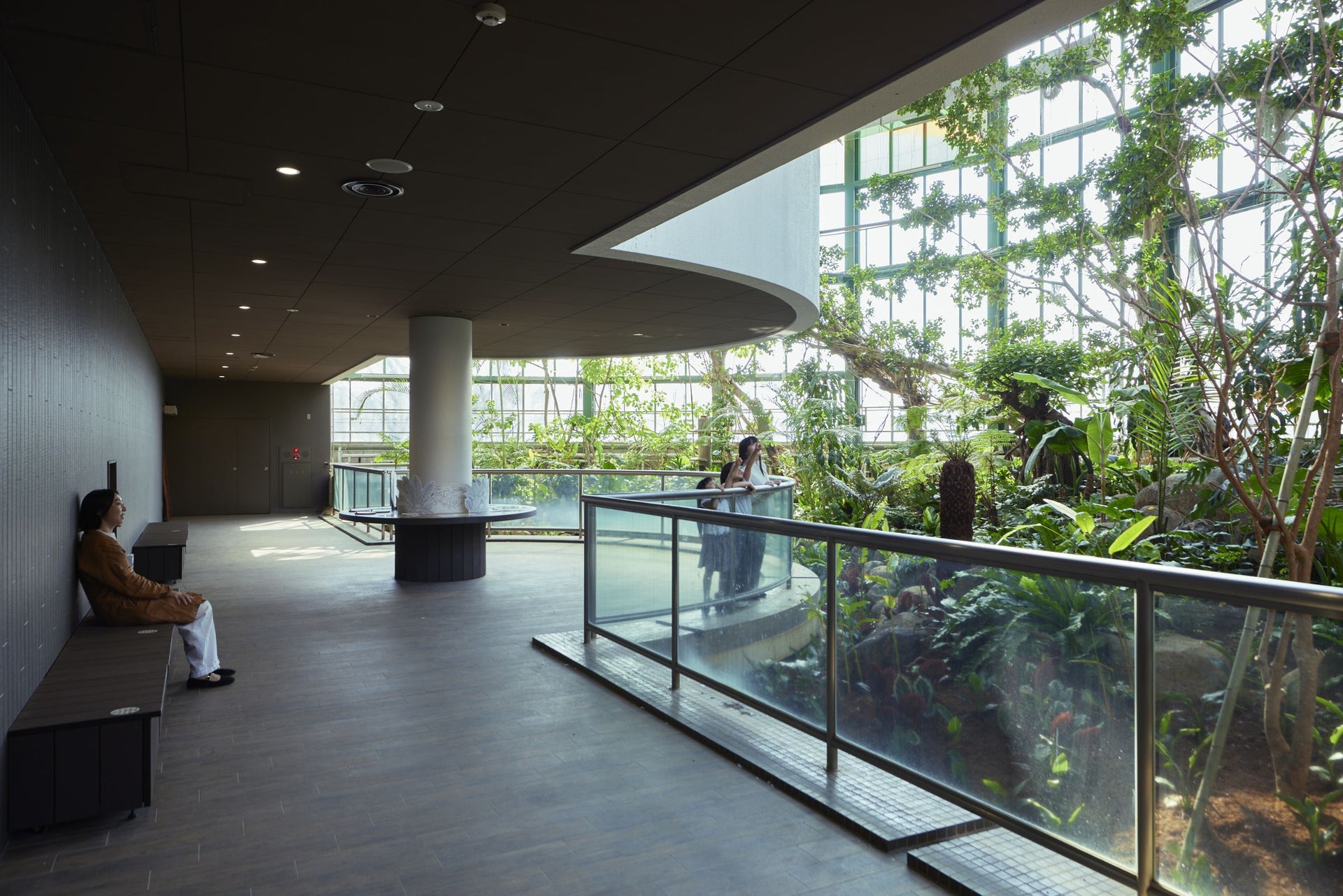 千葉市動物公園　動物科学館　－生命の森 熱帯雨林  Wonder of Rainforestー3